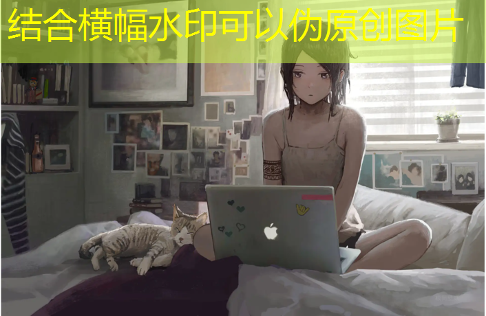 室内健身器材选品技巧